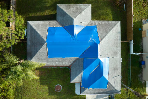 Best Asphalt Shingles Roofing  in Auburn, KS