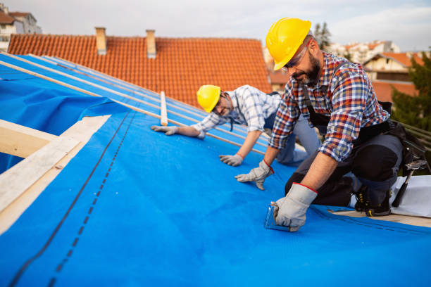 Best Chimney Flashing Repair  in Auburn, KS