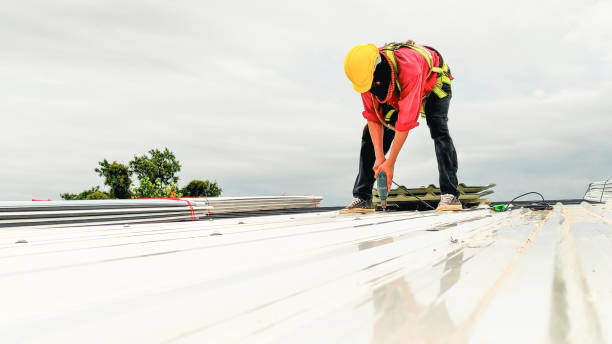 Best Roof Installation  in Auburn, KS