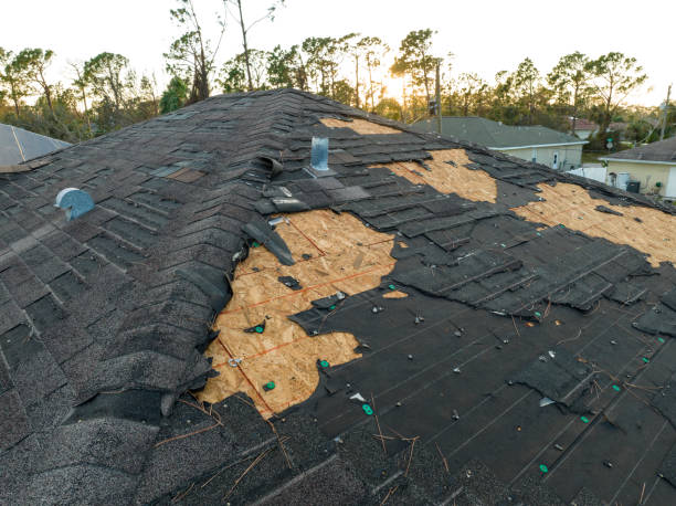 Best Roof Ventilation Installation  in Auburn, KS
