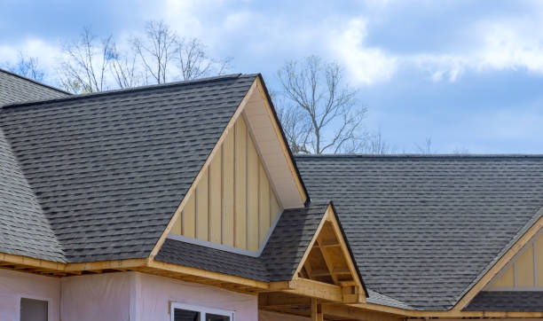 Best Roof Moss and Algae Removal  in Auburn, KS