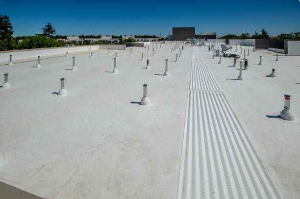 Best Asphalt Shingle Roofing  in Auburn, KS